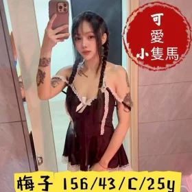 嘉義定點茶-梅子