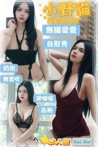 屏東定點茶-小野貓