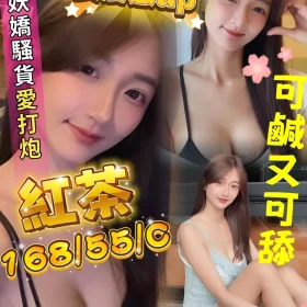 屏東定點茶-紅茶