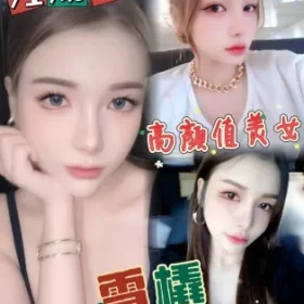 新北定點茶-雪橇