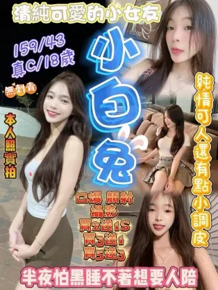 新竹定點茶-小白兔