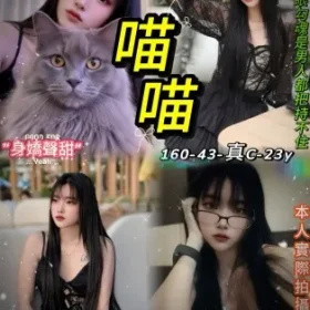 台北定點茶-喵喵