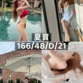 桃園外送茶-夏寶