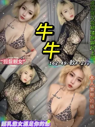 台北定點茶-牛牛