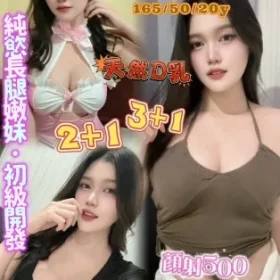 桃園定點茶-渺渺